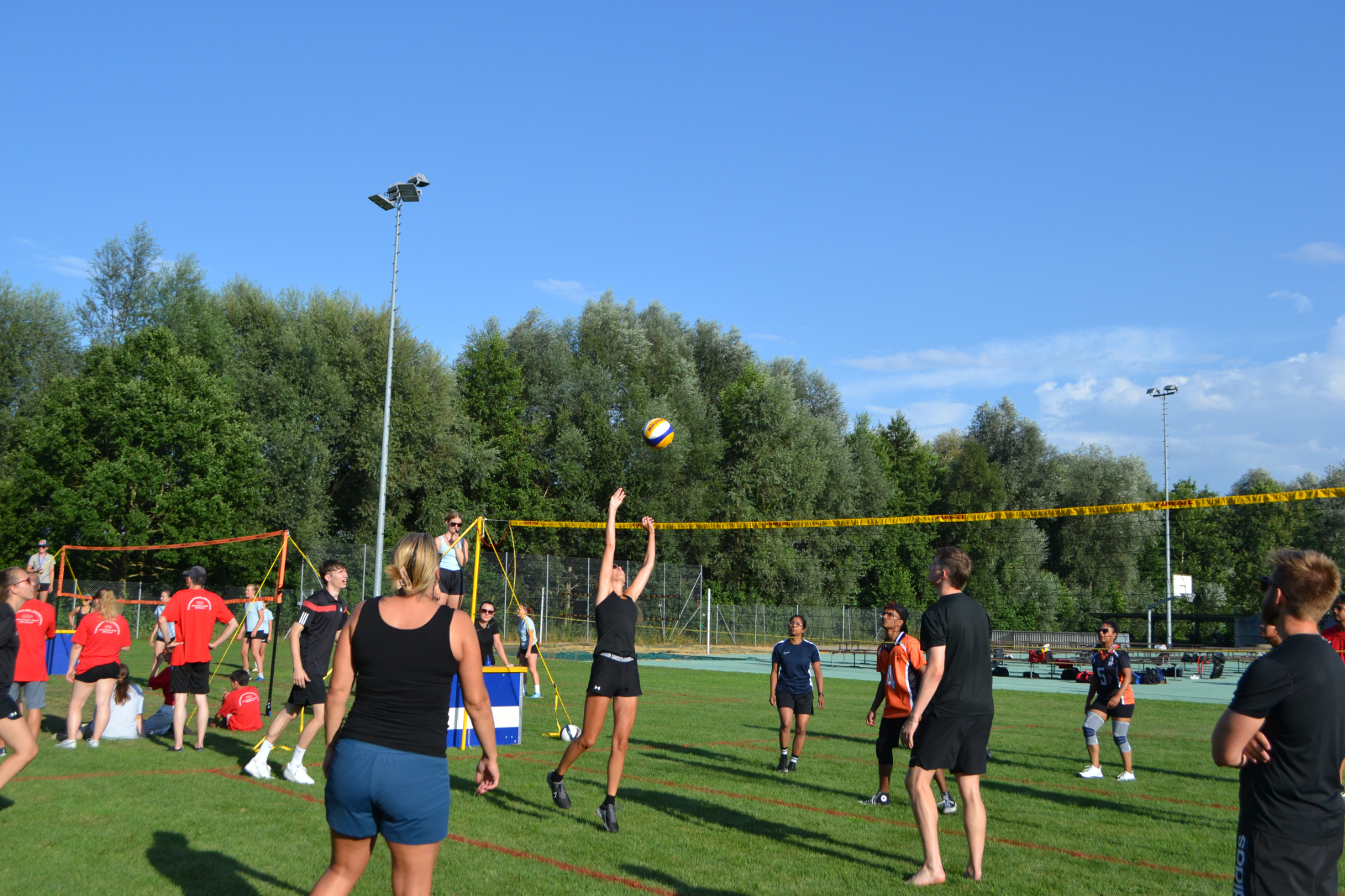 Bild (41)
